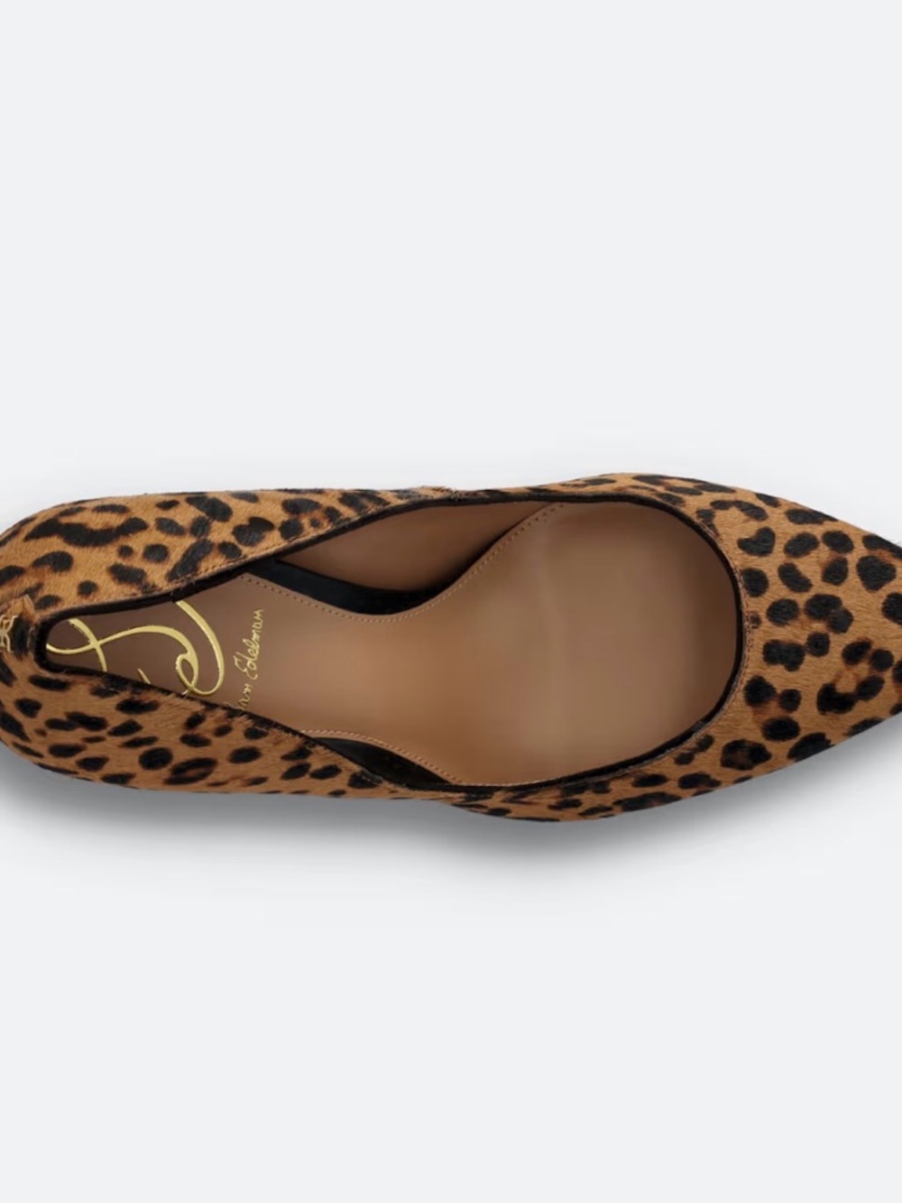 NWOB Sam Edelman Leopard Print Pointed Toe Stilettos - Brown/Black - Picture 4 of 9